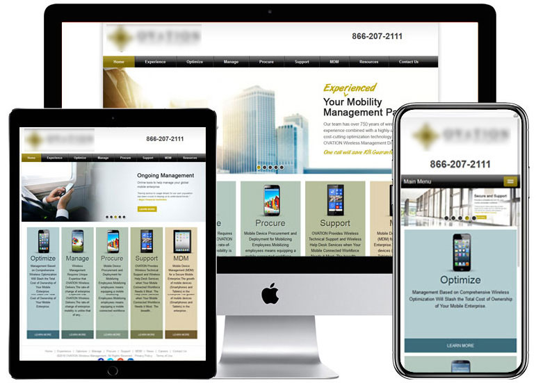 Case Study - Wireless Management Inc - ASP .NET Web Development for Telecom Industry