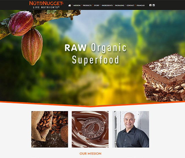 Wordpress website responsive design and development portfolio