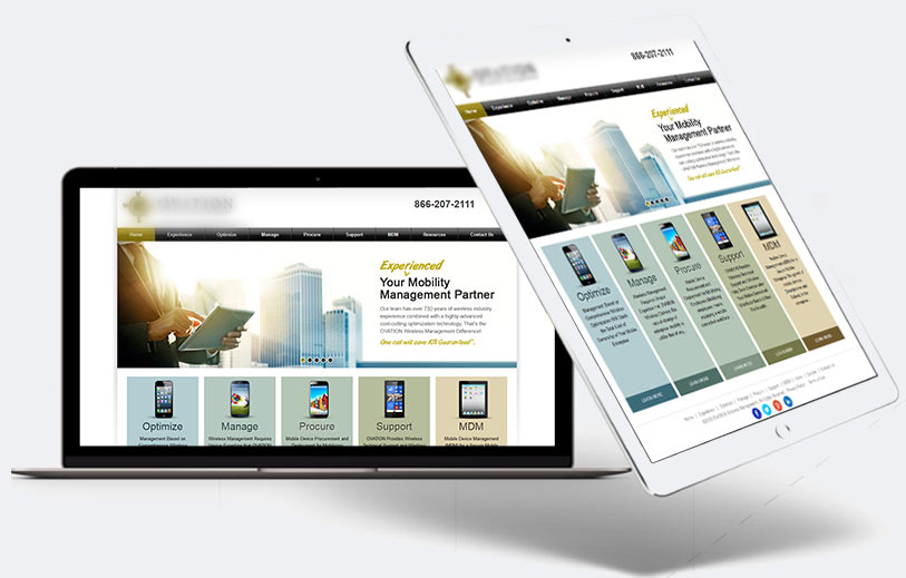 Case Study - Wireless Management Inc - ASP .NET Web Development for Telecom Industry